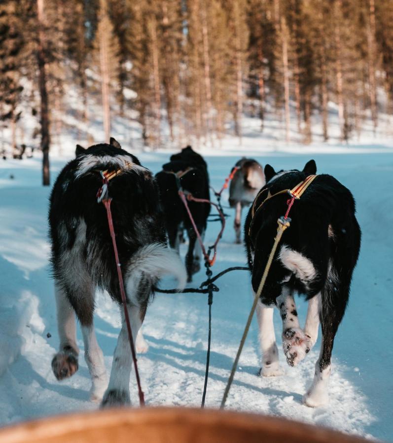 Highland Lodge Fjellandsby Гейло Экстерьер фото