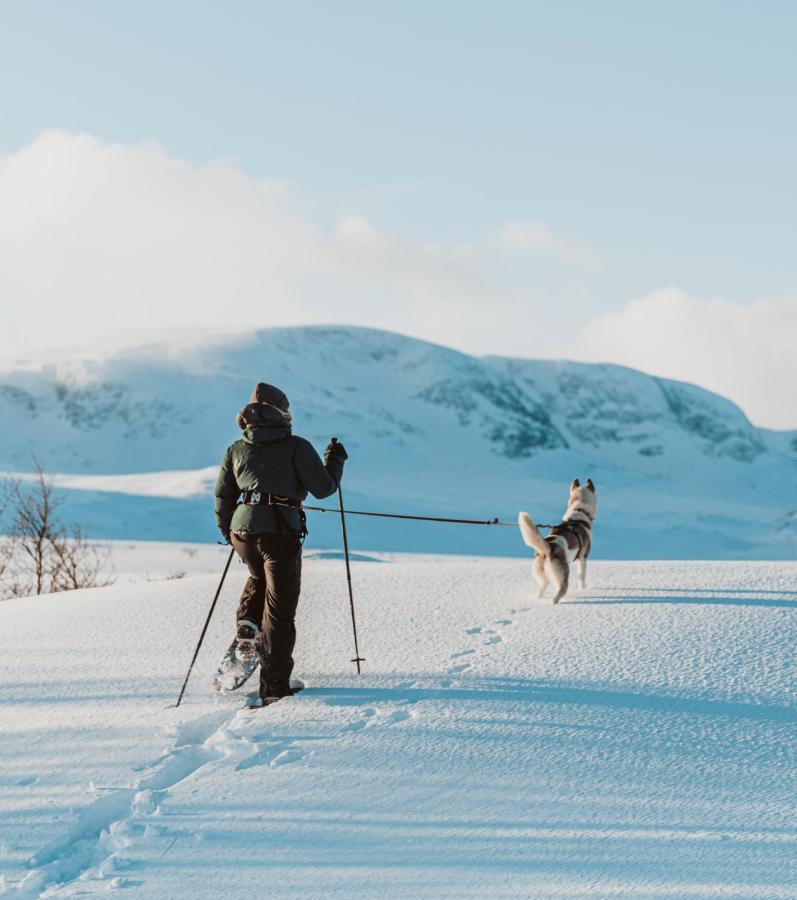Highland Lodge Fjellandsby Гейло Экстерьер фото